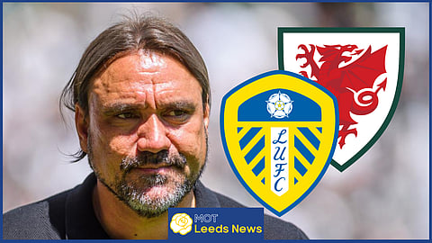 One of Daniel Farke's young players at Leeds United has been called up by Wales.