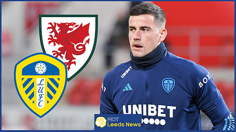 Karl Darlow plays for Leeds United and Wales
