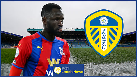 Leeds United want to sign Cheikhou Kouyate