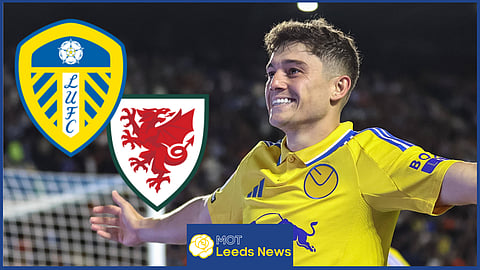 Leeds United and Wales attacker Dan James [Credit: Imago].