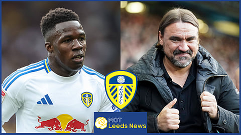 Wilfried Gnonto and Daniel Farke at Leeds United. Credit: Imago