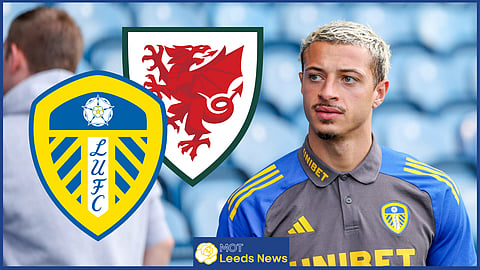 Ethan Ampadu has been a regular for both Leeds United and Wales [Credit: Imago]