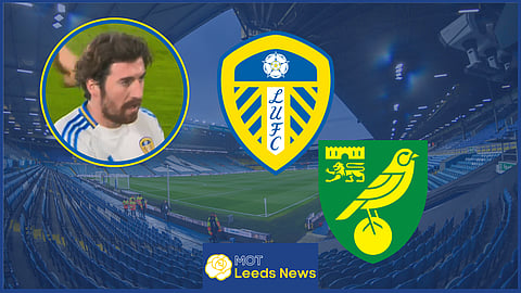 Joe Rothwell was involved in controversy as Leeds United beat Norwich City (Credit: Sky Sports Football)