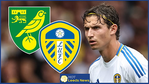 Brenden Aaronson could be axed for Leeds United v Norwich [Credit: Imago]