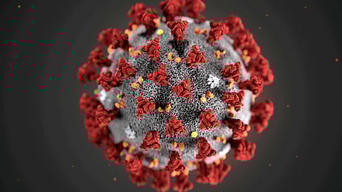 FILE PHOTO: The ultrastructural morphology exhibited by the 2019 Novel Coronavirus is seen in an illustration released by the U.S.Centers for Disease Control and Prevention (CDC) in Atlanta, Georgia, U.S. January 29, 2020. 
