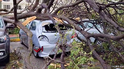 Trees are toppled on cars, in damage caused by Typhoon Mawar in Tamuning, Guam, May 25, 2023 in this screen grab obtained from a social media video. 