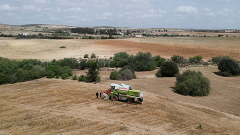 A combine harvests wheat on a field that belongs to farmer Hasan Chetoui in Manouba, Tunisia May 24, 2023. 