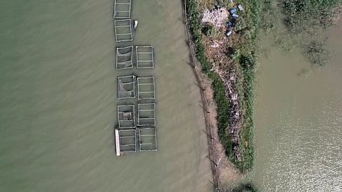 A view shows the fish pond which was abandoned due to water pollution and shortages in Basra, Iraq July 2, 2023. 
