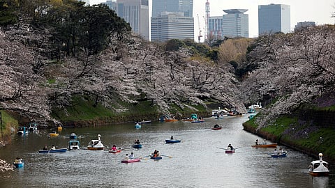 FILE PHOTO: Visitors ride boats next to blooming cherry blossoms at Chidorigafuchi Park in Tokyo, Japan, March 22, 2023. 