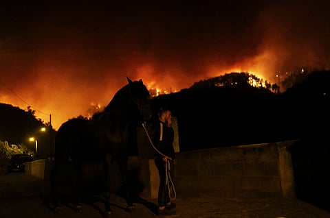 Oscar, 21, rescues his horse Atena in the village of La Victoria, as wildfires rage out of control on the island of Tenerife, Canary Islands, Spain August 19, 2023. 