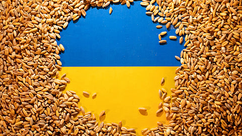 FILE PHOTO: Ukrainian flag is covered with grains in this picture illustration taken May 9, 2022. 