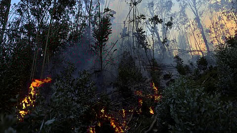 FILE PHOTO: Smoke and fire rise from a forest fire in Nemocon, Colombia, January 25, 2024. 