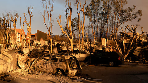 FILE PHOTO: A view shows the remains of vehicles and businesses burned in the Palisades Fire in the Pacific Palisades neighborhood in Los Angeles, California, U.S. January 11, 2025. 