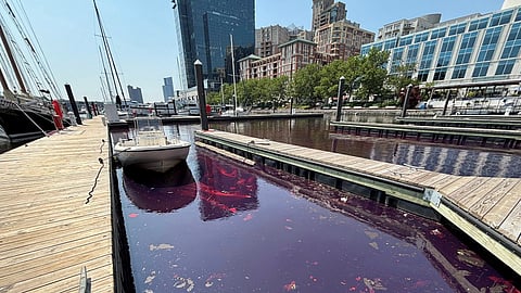 A boat is parked at a Marina where the water turned red due to the dye in the diesel fuel, following a 2,000 gallon diesel spill that orignated at a hospital facility, according to U.S. officials, in Baltimore, Maryland, U.S., June 4, 2025. 