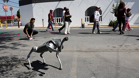 Waldog, a robotic dog used by Mexican Senator Waldo Fernandez as a tool to raise awareness about animal adoption and abuse greets people during a street tour, in Guadalupe, Mexico, August 8, 2025.