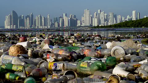 FILE PHOTO: Plastic polluting a mangrove area lies in Panama Bay, Panama City, Panama December 6, 2024. 