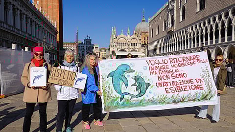 People hold signs and a banner calling for the protection of "Mimmo," a dolphin living in the Venetian lagoon, during a demonstration in St. Mark's Square, amid growing concerns about the impact of tourism on the animals, in Venice, Italy, November 8, 2025.