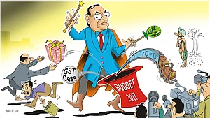 Monkey-capped Mufflerman leaks FM’s Budget speech in Delhi Metro