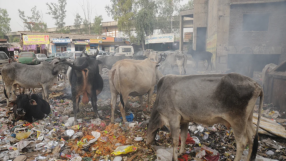 Photo by Pramod Pushkarna/National Herald
