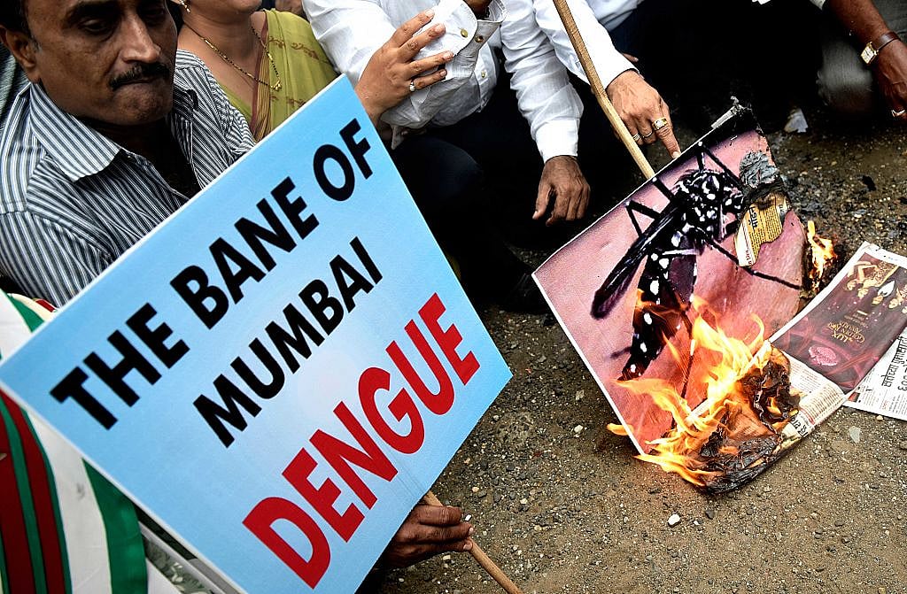 400 mosquito species in India: all carriers of diseases