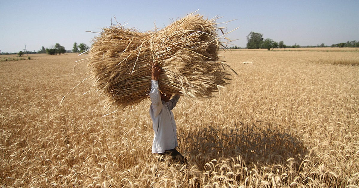 Abtak.com - Business - News Image