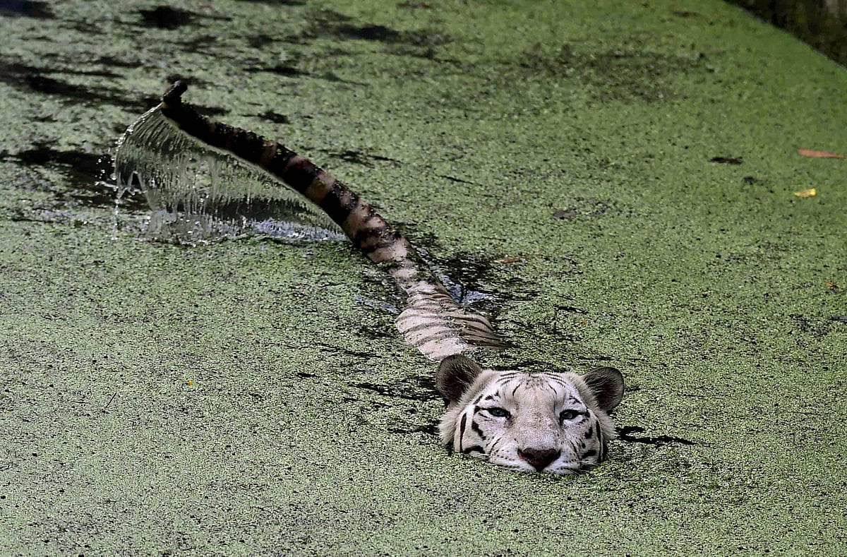 April 25: Away from Delhi, in pictures