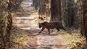 MAY 21: Away from Delhi, in
pictures