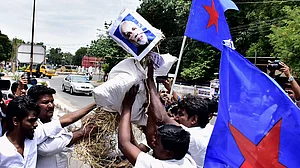 Madras HC suspends Centre’s cattle slaughter ban for four weeks