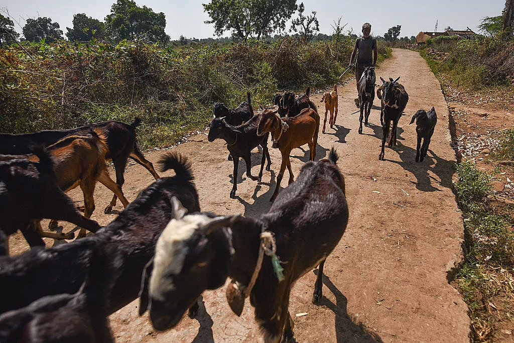 Did BJP bluff on rural roads built in 2016-17 being all-time high?