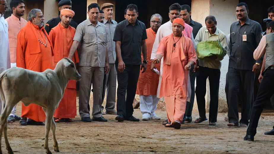 Photo by Deepak Gupta/Hindustan Times via Getty Images