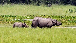 June 22: Away from Delhi, in
pictures