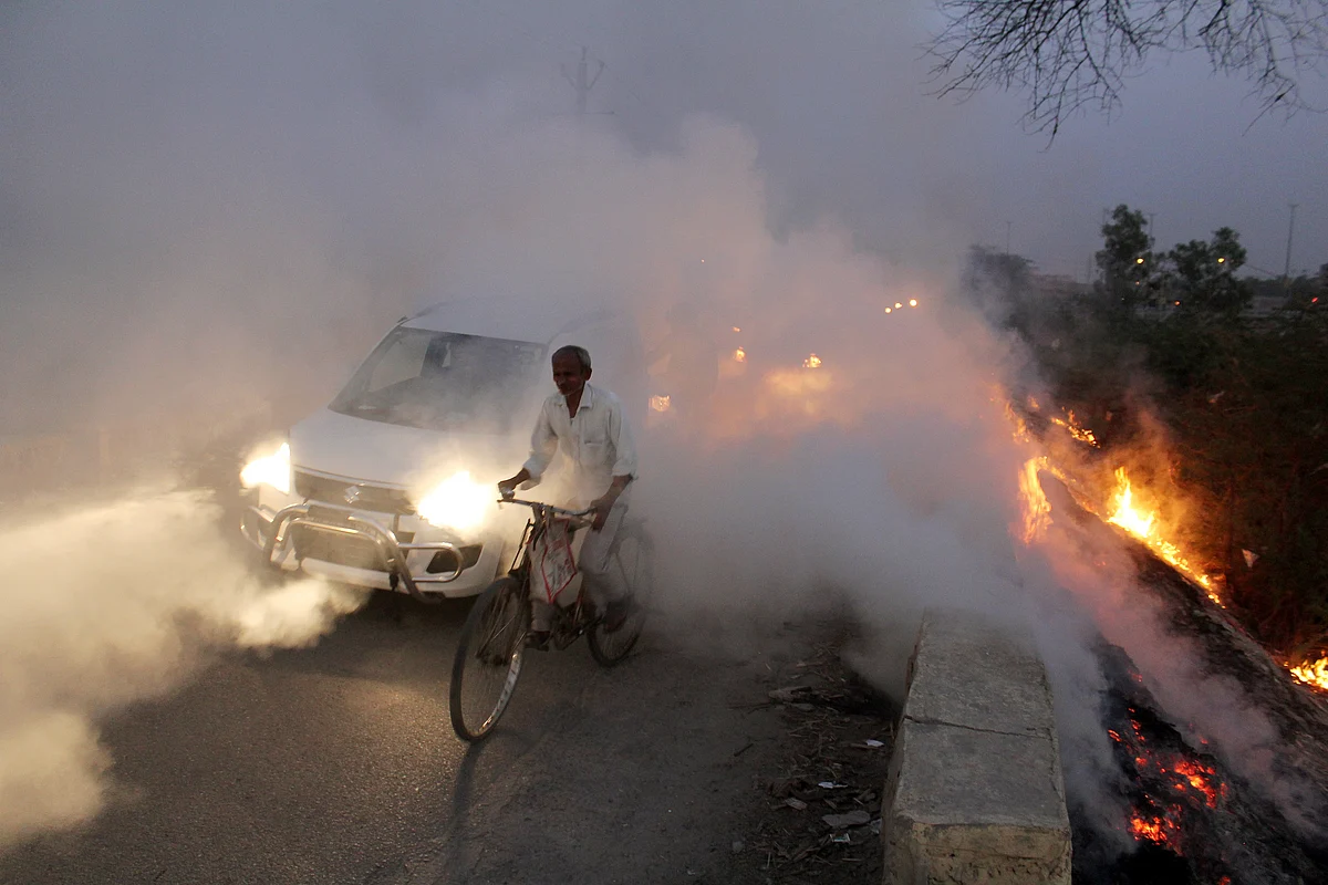 Environment Day: Some glimpses from Delhi 