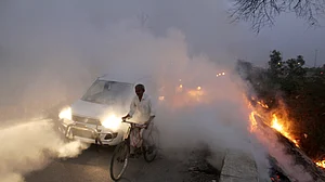 Environment Day: Some glimpses from Delhi