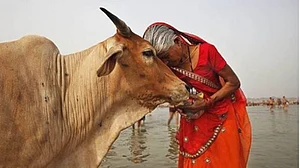 Foreign meat and milk producers taking us for a ride?