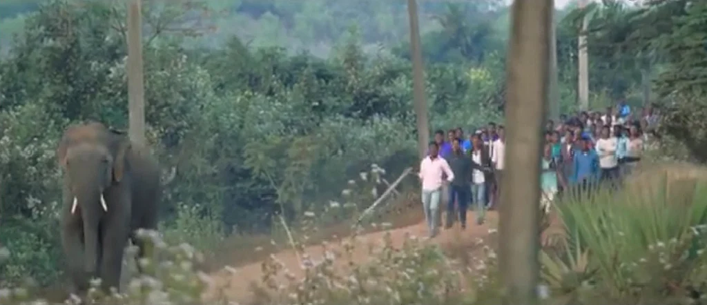 Book Extract: When elephants become refugees