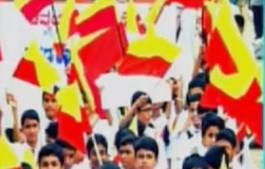 Karnataka flag row: A strong nation caters to regional aspirations