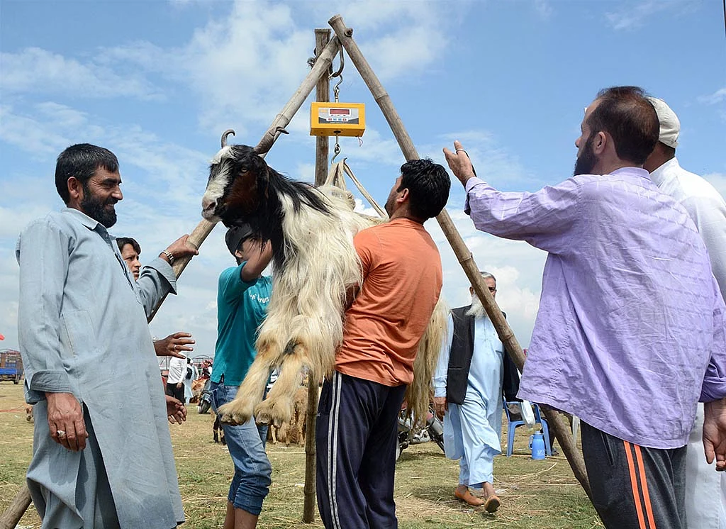 PTI Photo