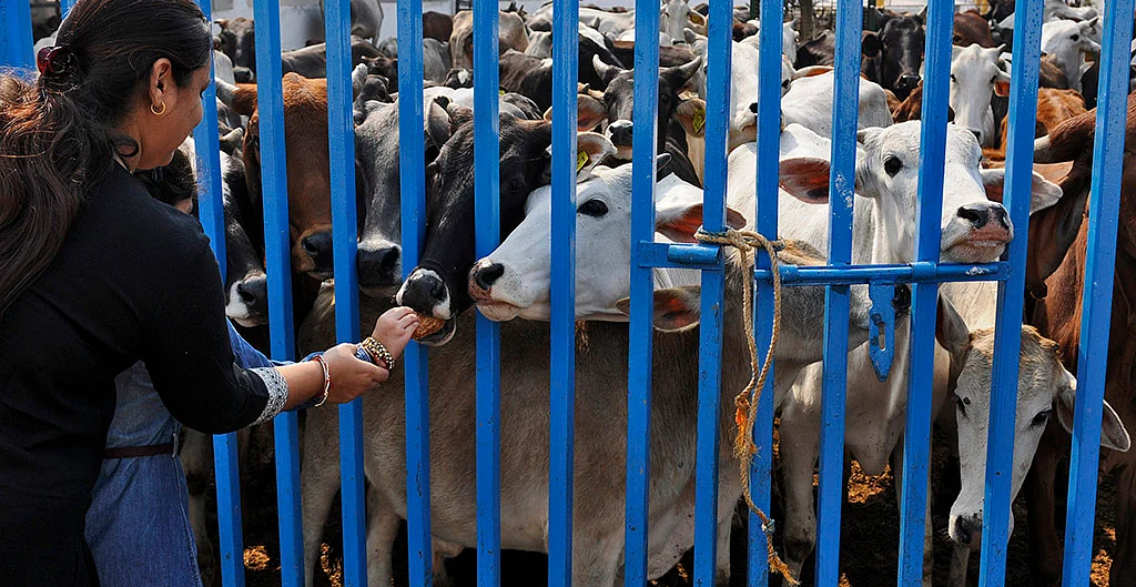 RSS gets its first journalism university