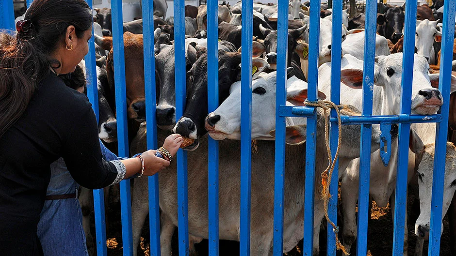 Photo by Burhaan Kinu/Hindustan Times via Getty Images