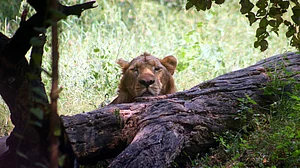 October 23: Delhi and beyond, in
pictures