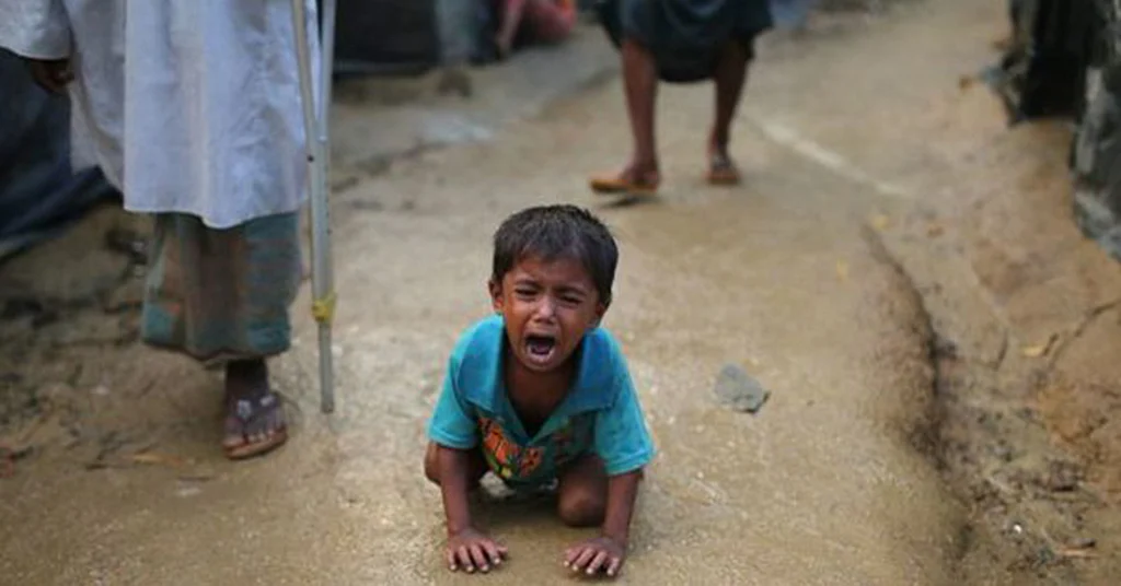 Rohingyas are ‘friendless’ because they have nothing to offer