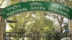NGT gives nod to odd-even scheme