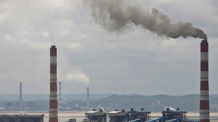 Picture courtesy: Greenpeace