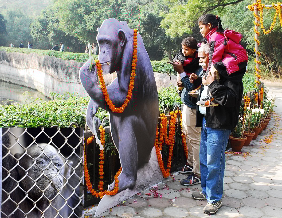 IANS/Pramod Pushkarna