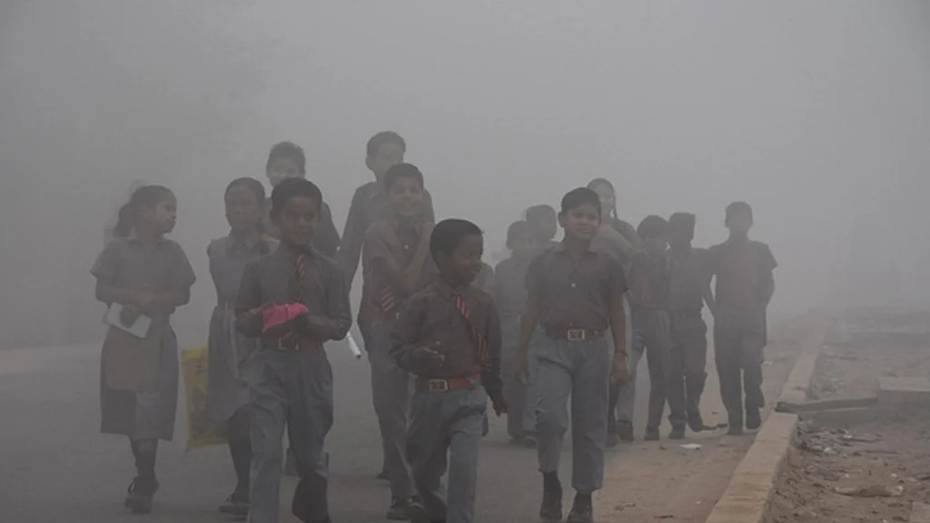 Photo Courtesy: Twitter