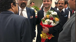 ‘Euphoric reception’ for Rahul Gandhi in Bahrain