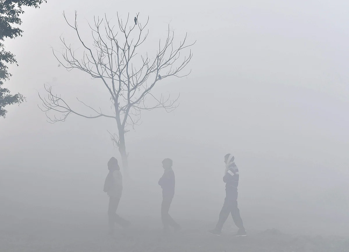 January 06: Delhi and beyond, in pictures