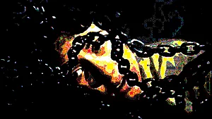 Photo courtesy: Twitter