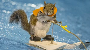 January 17: Delhi and beyond, in pictures