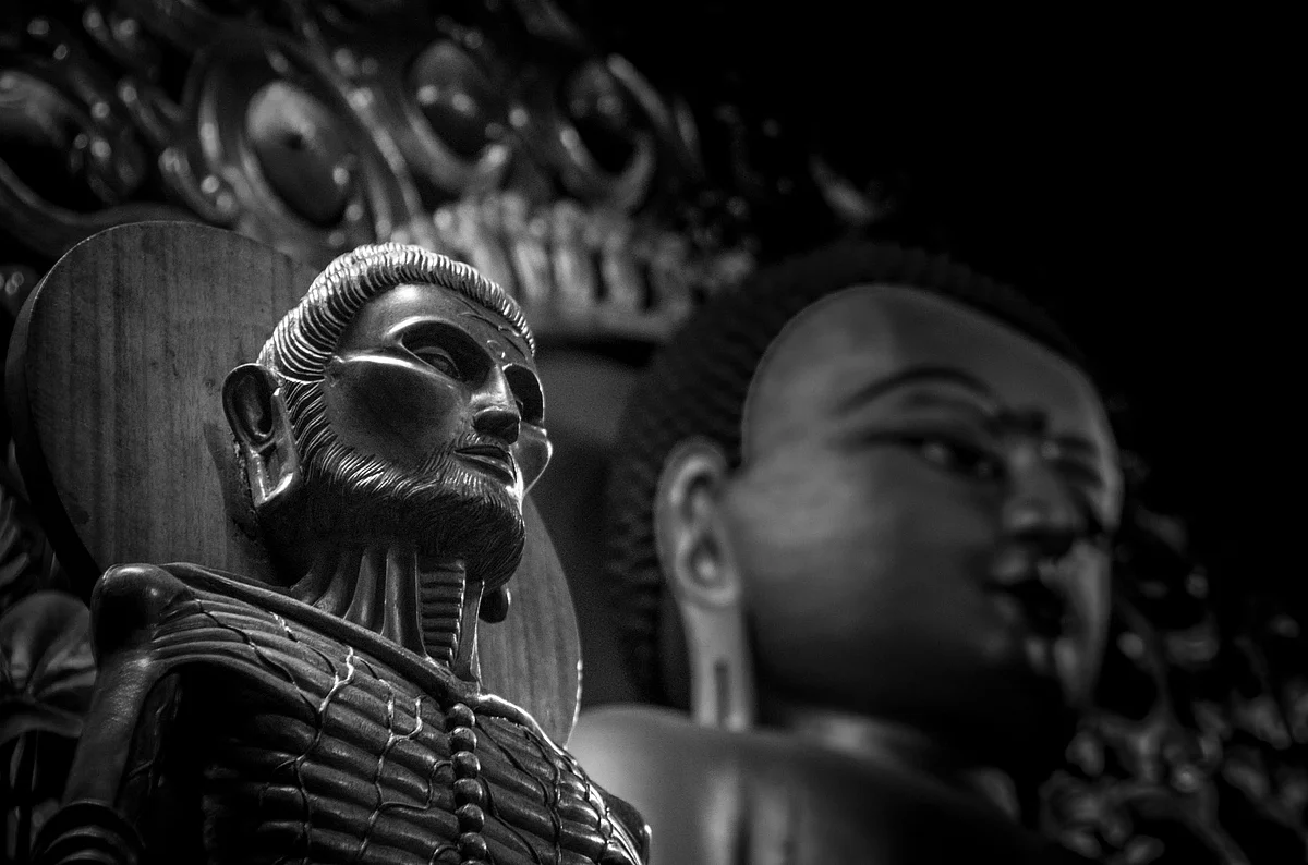 A photograph clicked by Ravindra Kumar Tanwar